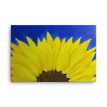 Sunflower of Peace Canvas Print